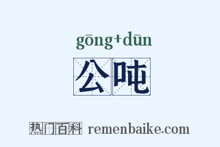 公吨是什么意思的图片
